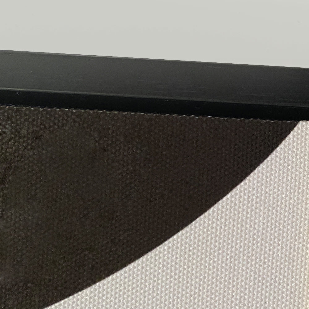 Graphic Pulse on Canvas